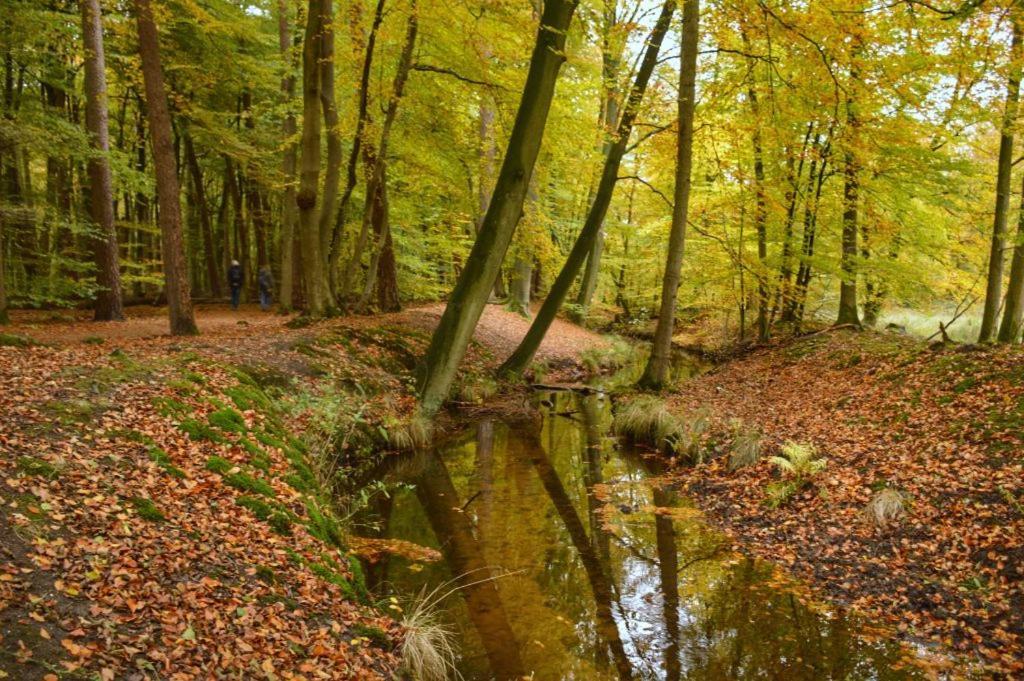 Inn De Zwaan Elspeet